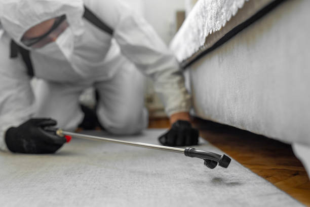 Professional Cockroach Control technician working in Chandler, TX