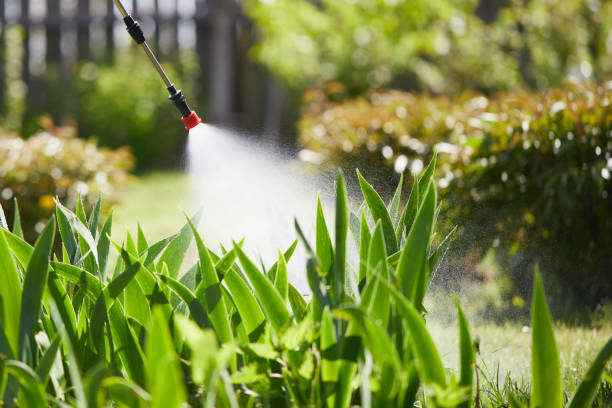 24/7 Emergency Cockroach Control experts in Chandler, TX